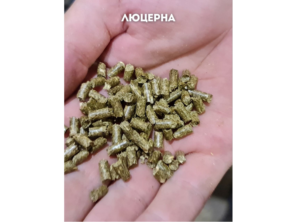 Гранулятор комбикорма ГДР-125-220В (до 80 кг/ч)