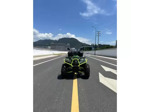 Электроквадроцикл Storm Grand 4x4