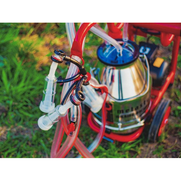 Доильный аппарат Melasty TJKKC 2 - PS (сухой) для коз