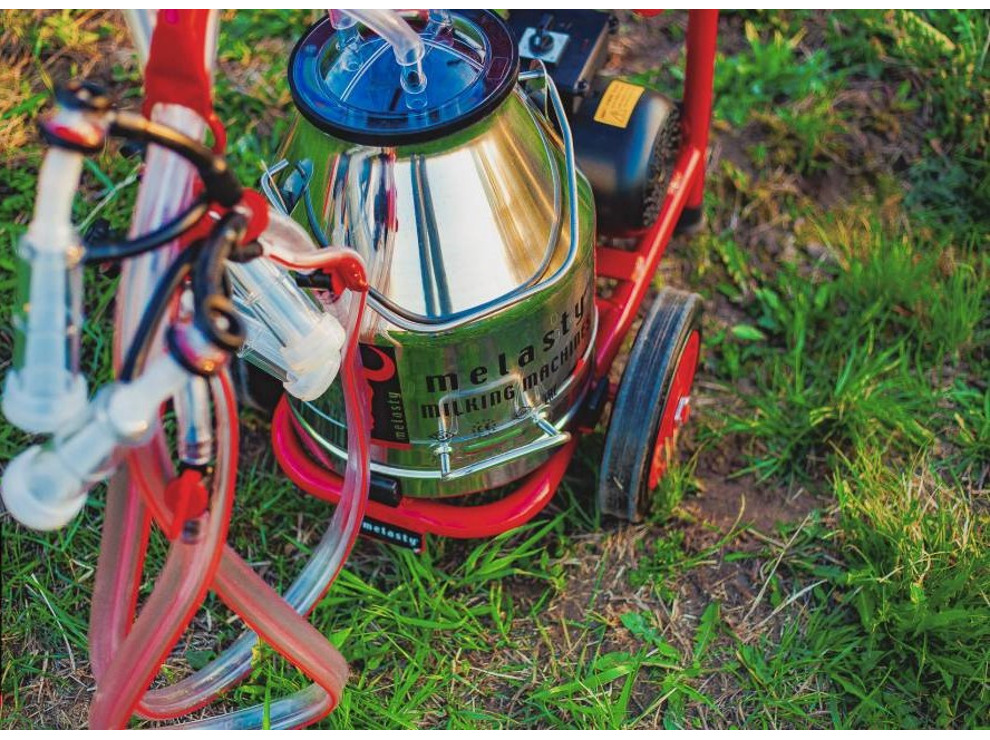 Доильный аппарат Melasty TJKKC 2 - PS (сухой) для коз