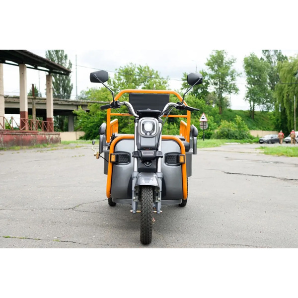Электротрицикл грузовой AVM Cargo mini 800
