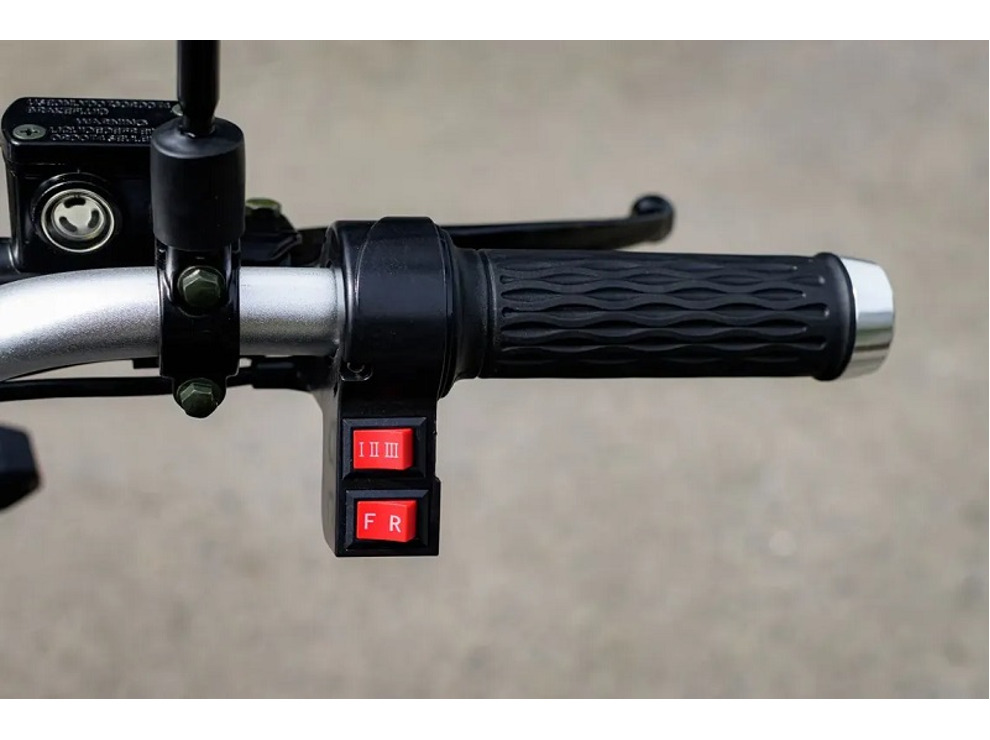 Электротрицикл AVM CityCoco Axel 2000