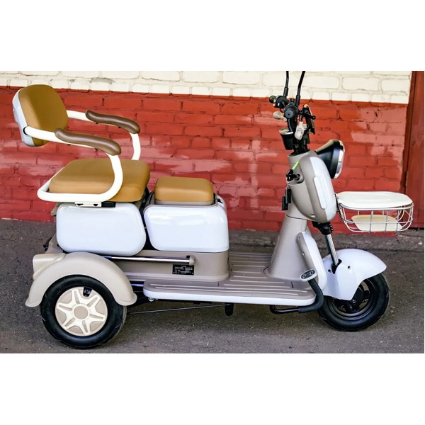 Электротрицикл пассажирский AVM City 650