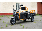 Электротрицикл грузовой AVM Cargo mini 800