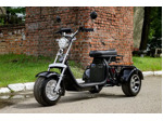 Электротрицикл AVM CityCoco Axel 2000