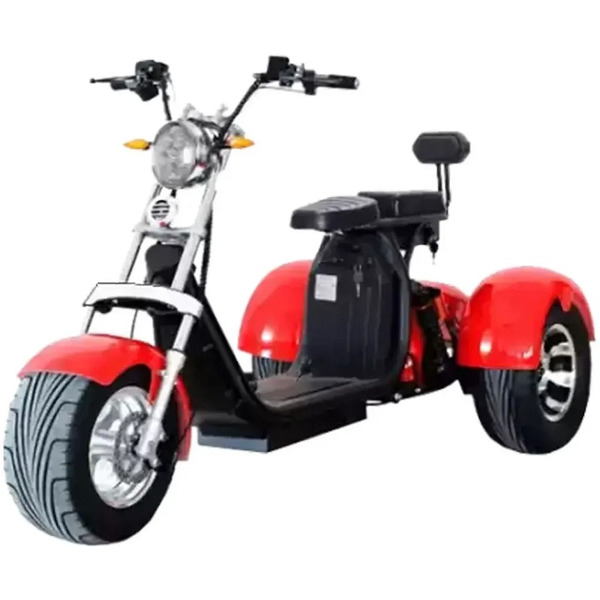 Трицикл Citycoco 302 (2000ВТ) АКБ 20 AH