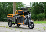 Электротрицикл грузовой AVM Cargo mini 800