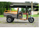 Электротрицикл грузовой AVM Cargo mini 800