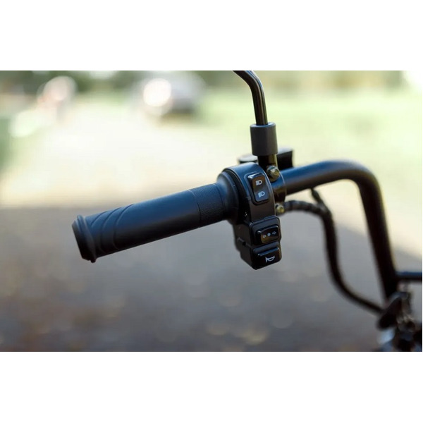 Электроскутер Citycoco x7 2000w