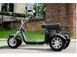 Электротрицикл AVM CityCoco Axel 2000