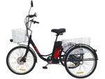 Электровелосипед AVM E-ALFA TRIKE 24 