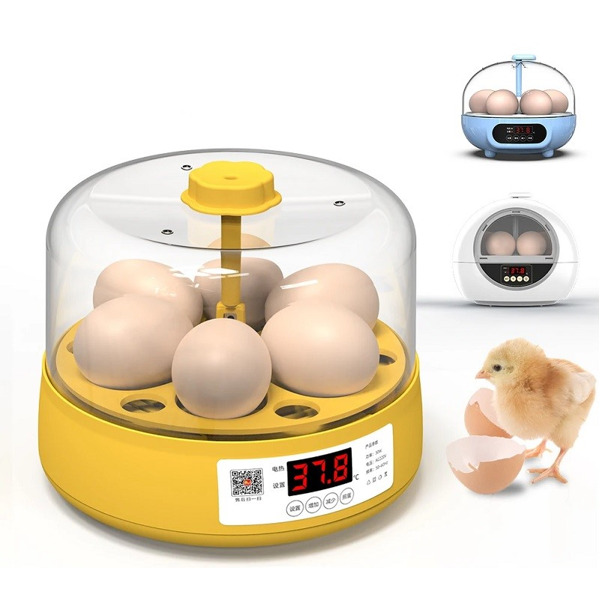 Мини инкубатор автоматический для яиц на 6 яиц