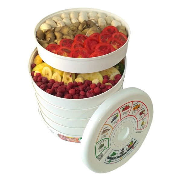 Сушилка для овощей и фруктов RENOVA DVN31-500/5, 500 Вт