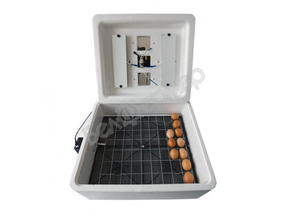 Инкубатор Несушка на 63 яйца (цифровое табло, 220+12В) арт. 46. Новый, без автоповорота.