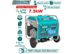 Бензиновый генератор Total TP375001