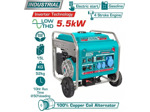 Бензиновый генератор Total TP355001