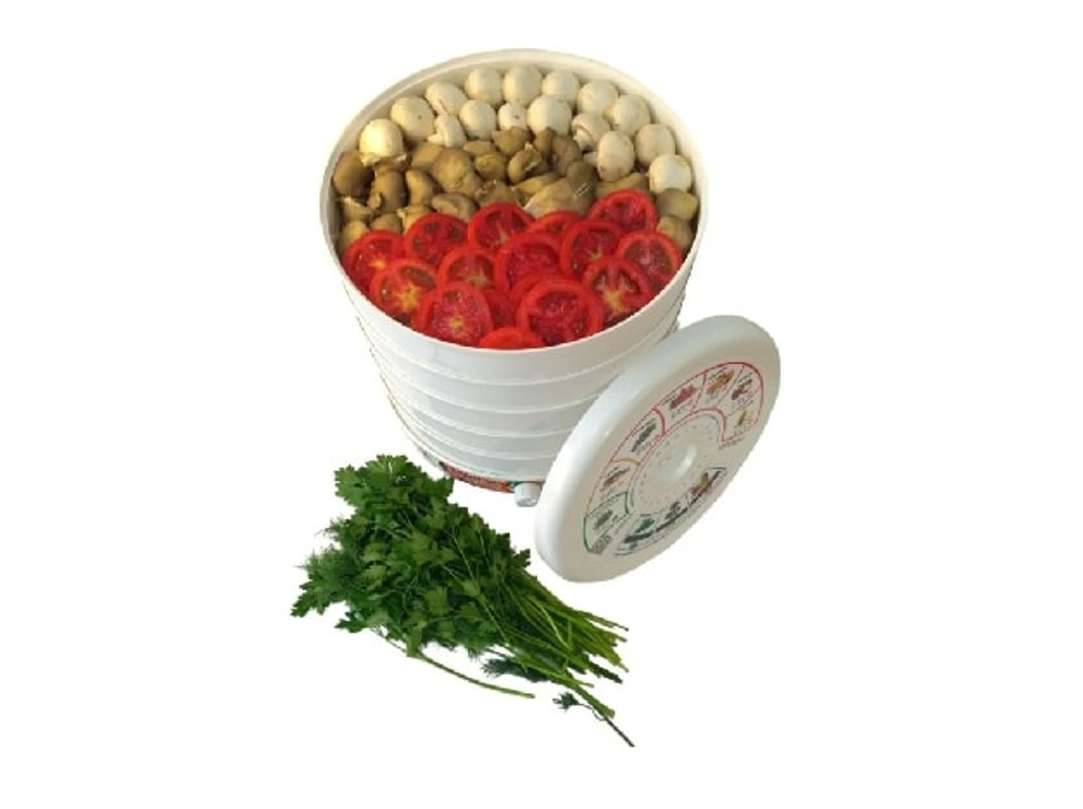 Сушилка для овощей и фруктов Славда DVN31-500/5, 516 Вт