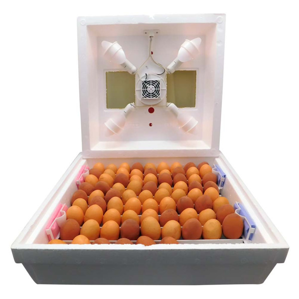 Инкубатор бытовой Квочка МИ-30-1-ЭЛ (ПОЛУАВТОМАТ, ламповый) с вентилятором