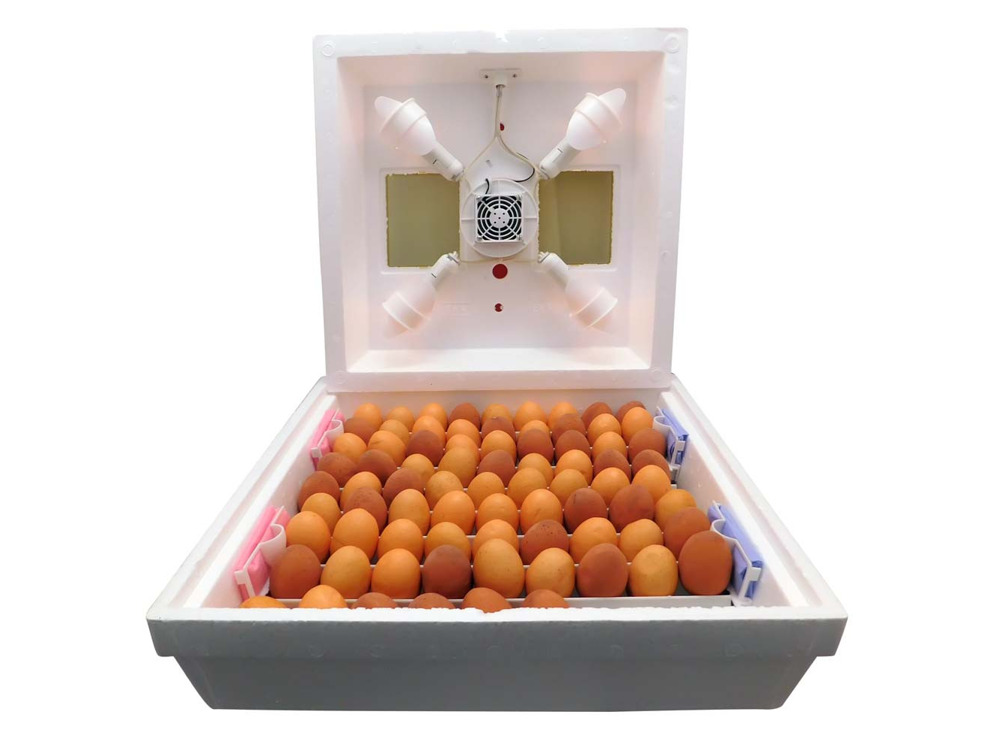 Инкубатор бытовой Квочка МИ-30-1-ЭЛ (ПОЛУАВТОМАТ, ламповый) с вентилятором + Гигрометр