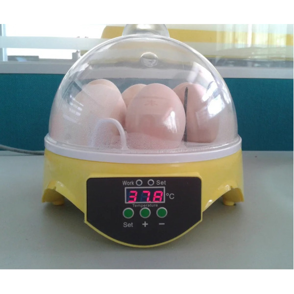 Мини инкубатор для яиц на 7 яиц "HHD 7" с терморегулятором