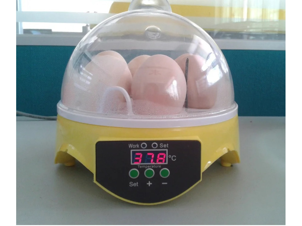Мини инкубатор для яиц на 7 яиц "HHD 7" с терморегулятором