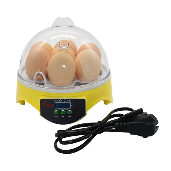 Мини инкубатор для яиц на 7 яиц "HHD 7" с терморегулятором