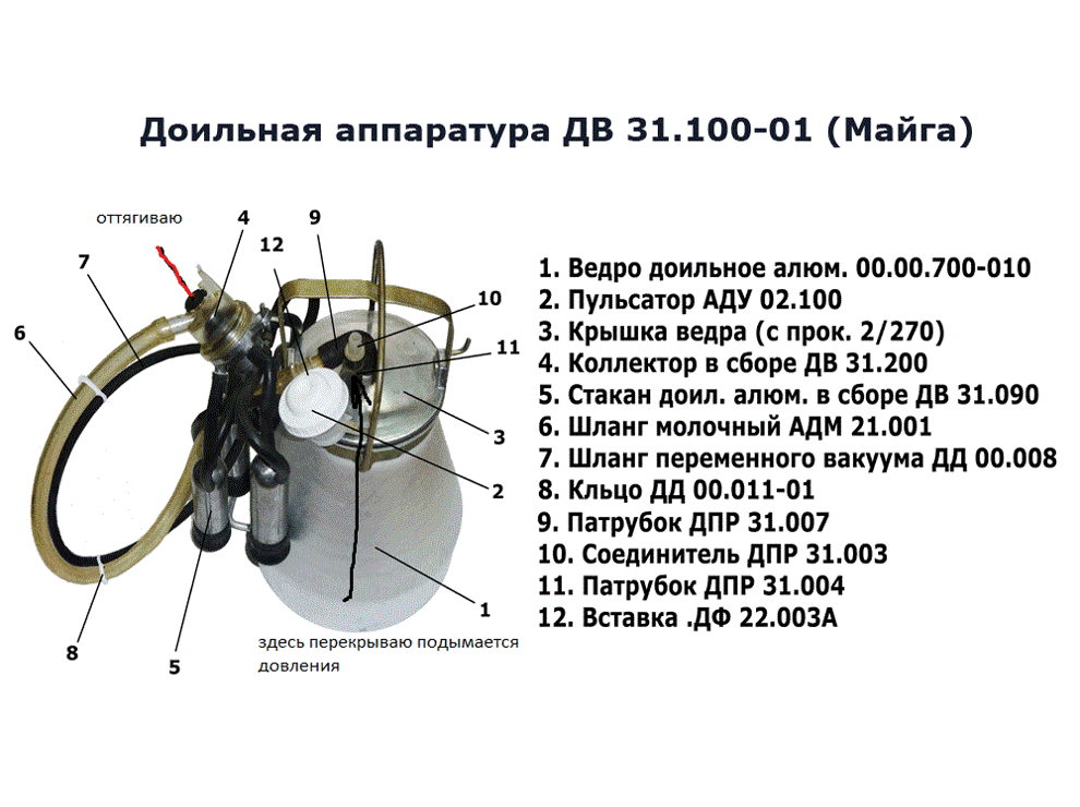 Доильная аппаратура Комплект, цельная резина (Майга)
