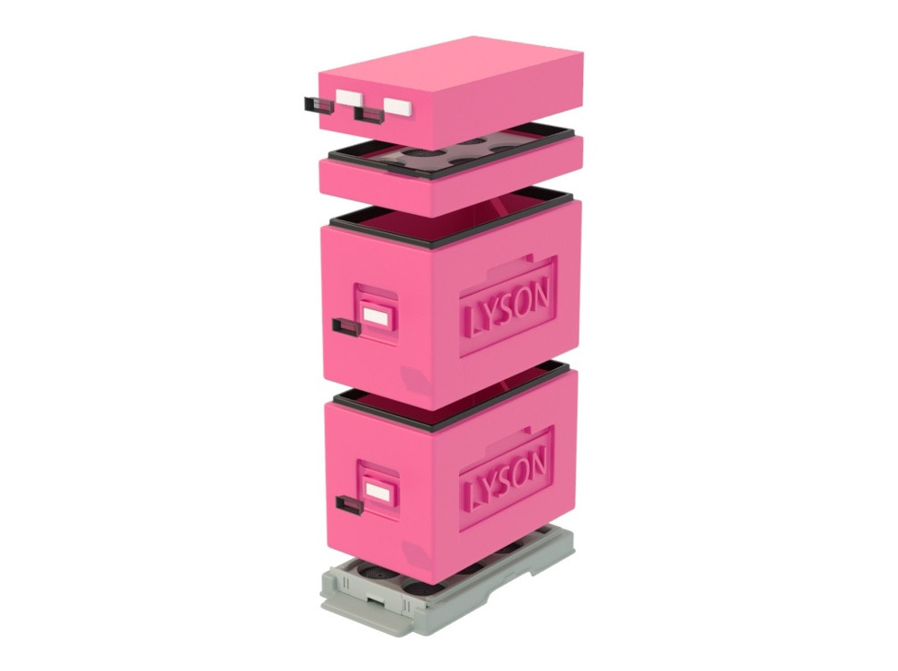 Улей "Дадан" 6-рамочный (2 корпуса Дадан, кормушка), красный