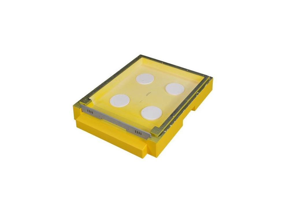 Дно низкое для 6-рамочных ульев