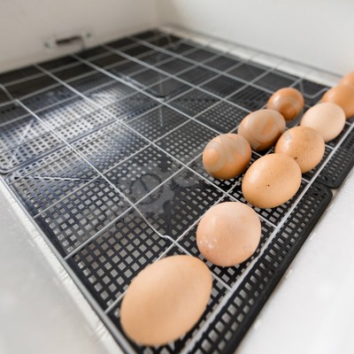Инкубатор Несушка на 104 яйца (автомат, цифровое табло) арт. 60