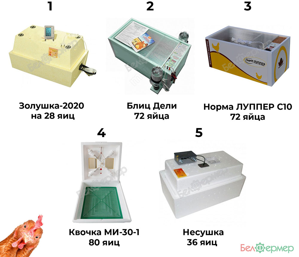 Муки выбора инкубатора